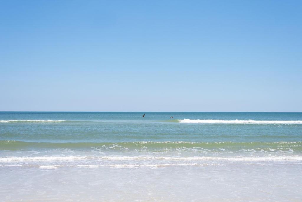 Bright New Beach House With In- Law Suite -- 2 Blocks To Beach! Сент-Огастин Экстерьер фото